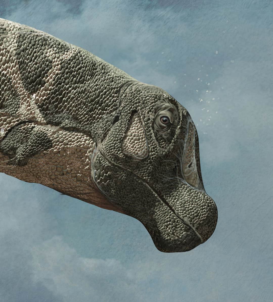 The biggest dinosaurs ever discovered, Quo Magazine November 2014. Detail of the head. Art by Román García Mora.