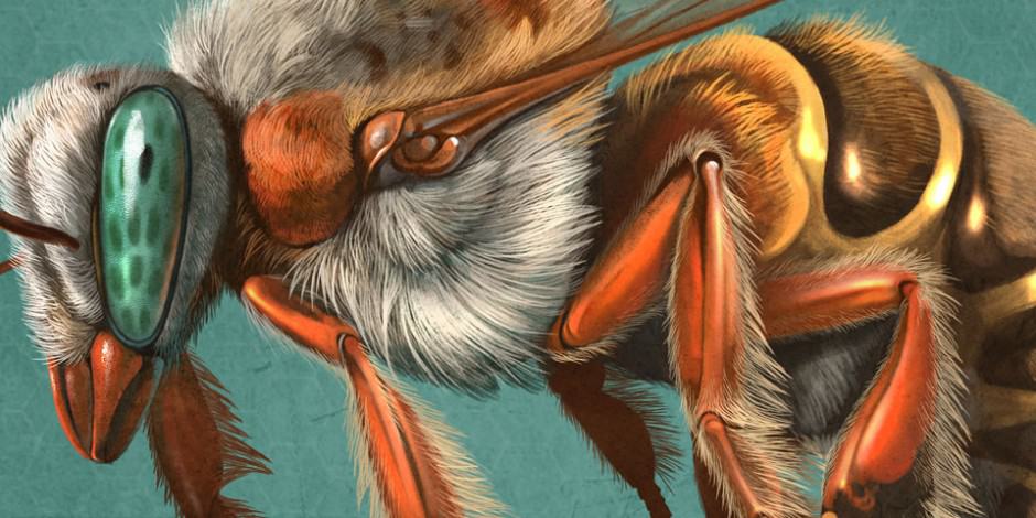 Native Bees, Quo Magazine November 2014. Art by Román García Mora.