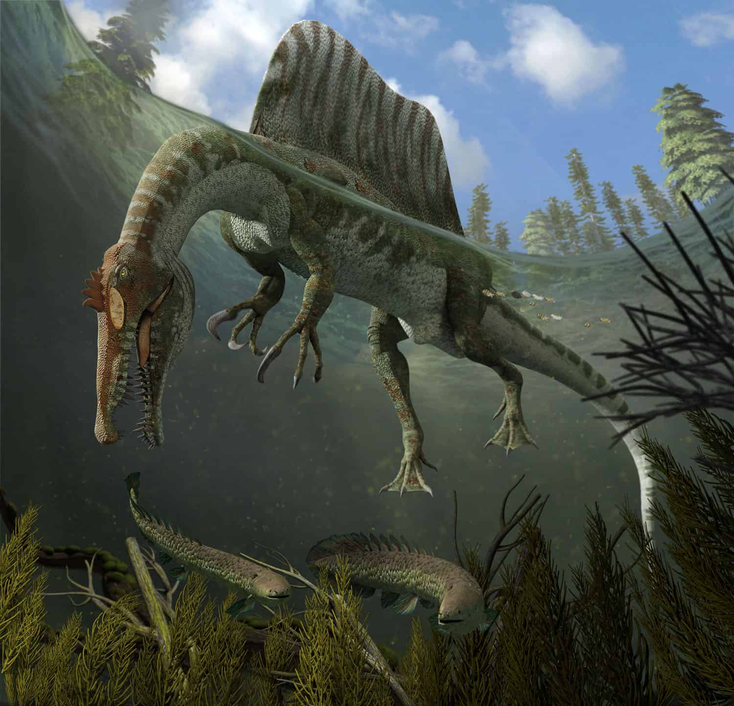 New Stars in the Dinosaur World, PM Magazin April 2015. Spinosaurus aegypticus. Art by Román García Mora.