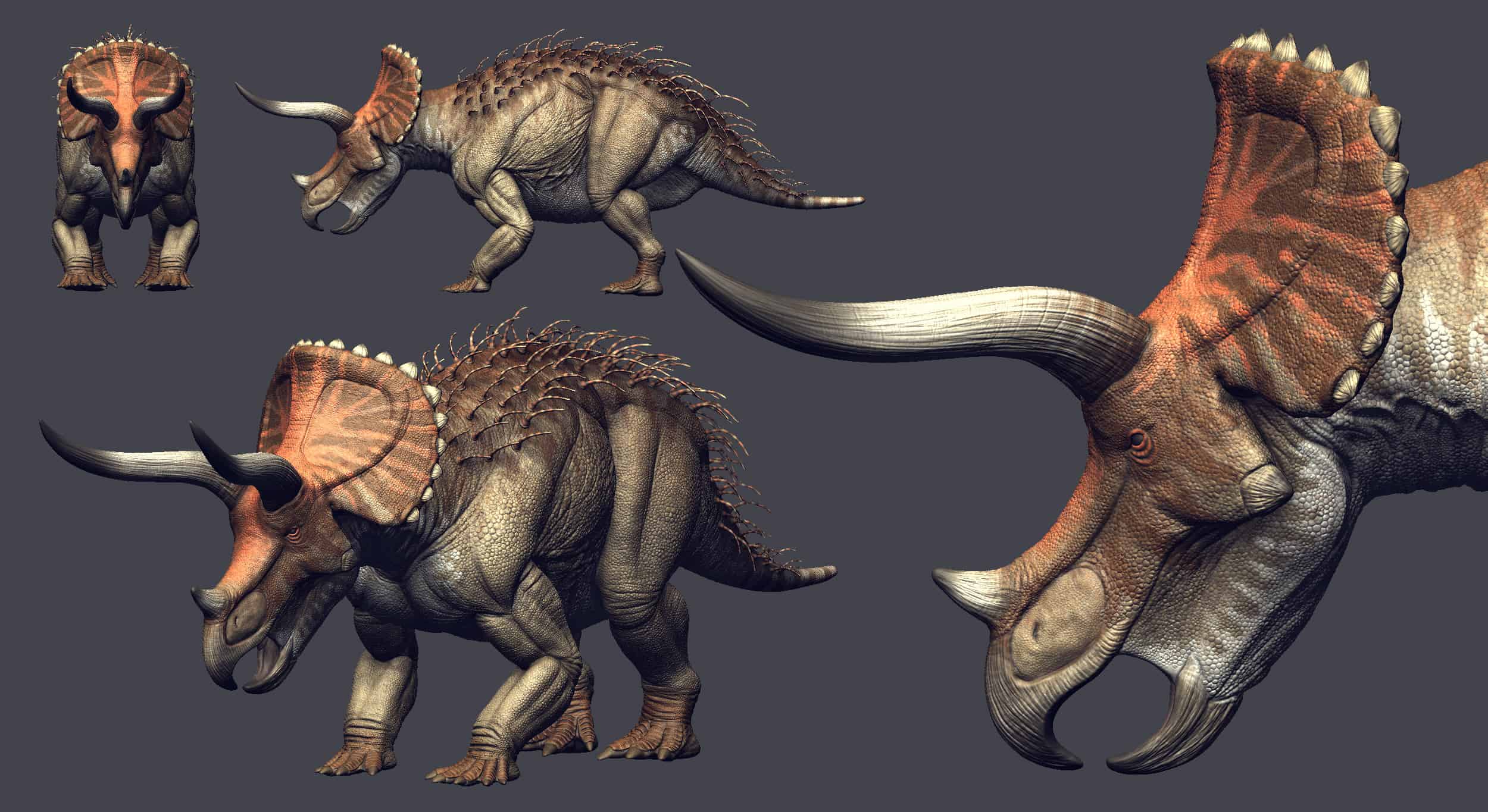 Triceratops_D2